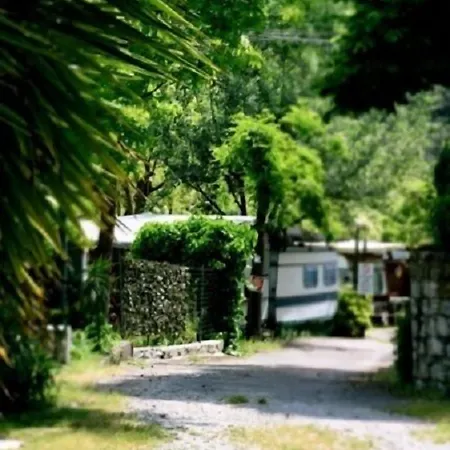 Makalle * 리바 트리고소